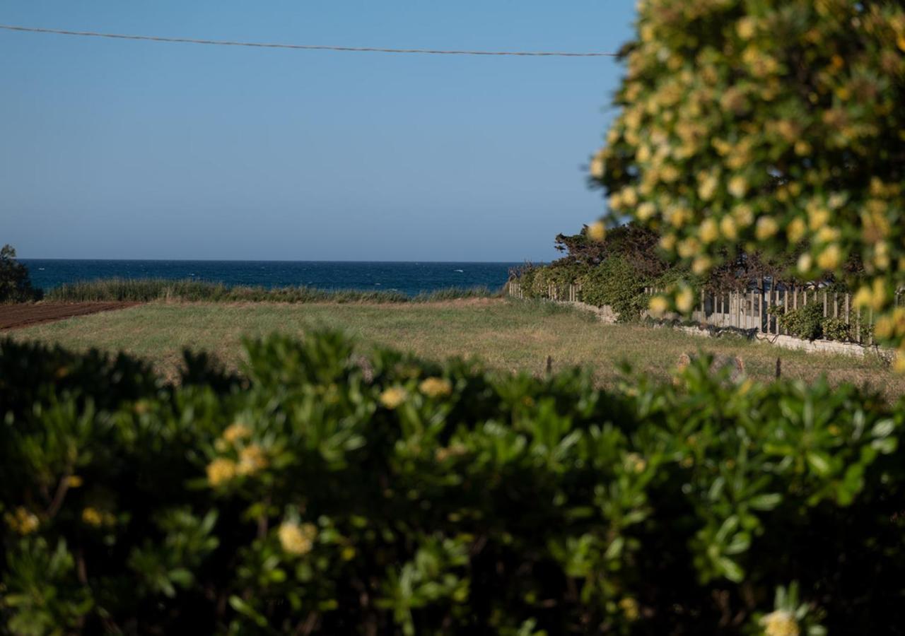 Villa Marisole Torre Canne Dış mekan fotoğraf